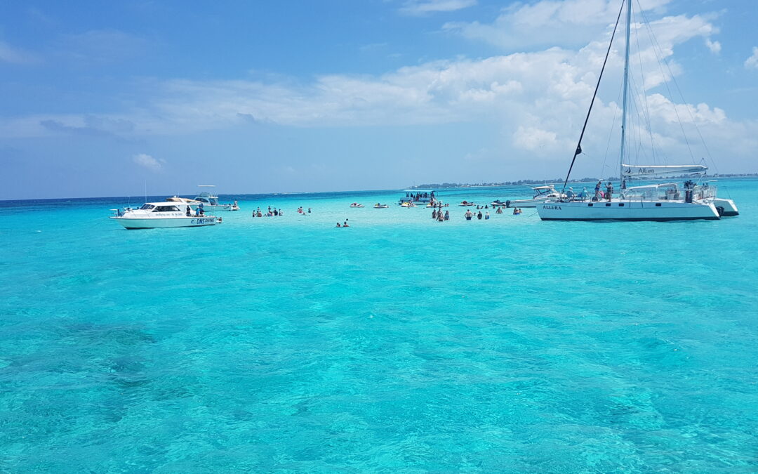 Is Being a Violinist on a Cruise Ship Worth It?
